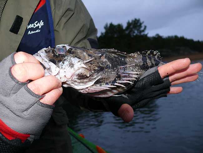 rymättylä2 036.jpg