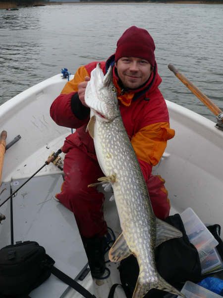 Tammikuinen pönö Sepalukselta.