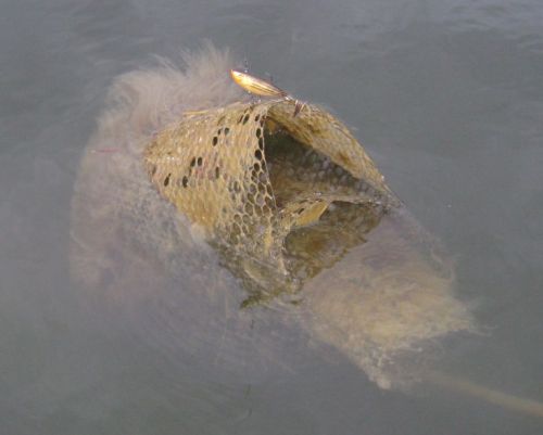 Peksin väsytyksen tulos, mikä lie kanaverkko viritys..