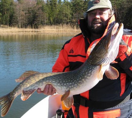 Faija kasiseiska.jpg