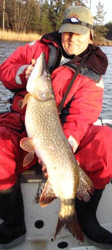 metrinen mereltä.jpg