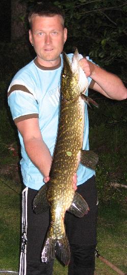 metrinen savosta.jpg