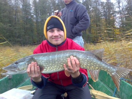 SS-busalla kuusplussa