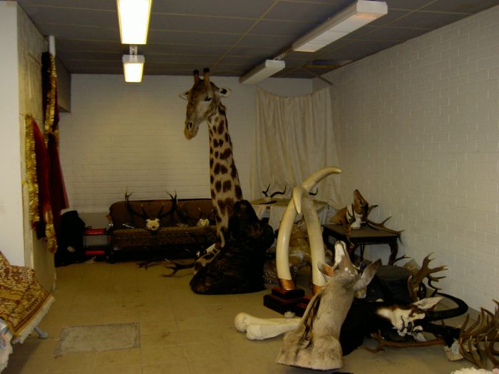 Sekal loka 2008 017.jpg