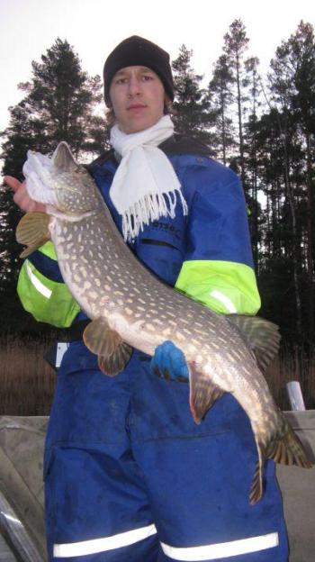 Jussin 5,7kg Peksin kanssa kuvassa (saaja ei jaksanut tulla keulalta kuvattavaksi)