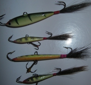 IMGP4601 isoimpaan maivaan itse laitettu perä rämemajavasta.JPG