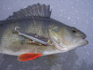 Sillin seiskalla.jpg