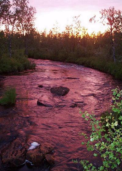 Harri purolta auringonlaskun aikaan