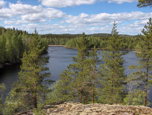 hauki- ja särkipoukama.JPG