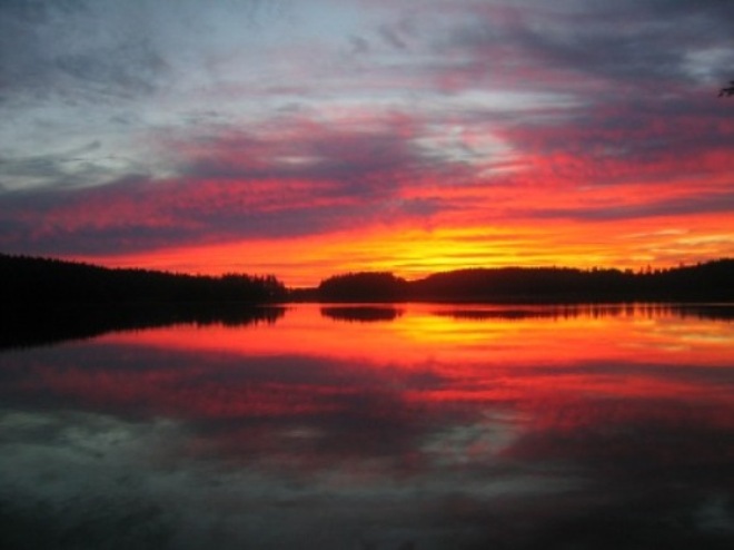 Puulan ilta-aurinko.jpg