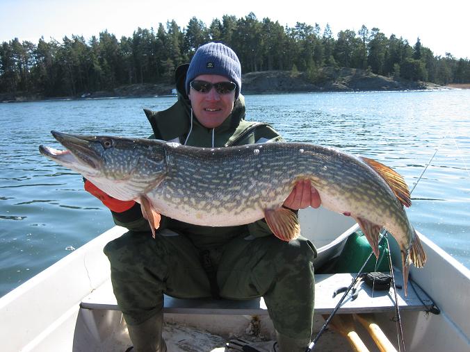 kevät 2009, hauki 11.1 kg.JPG