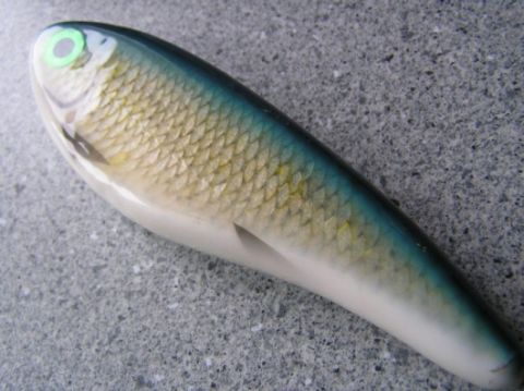 Isax siian-nahkajerkki