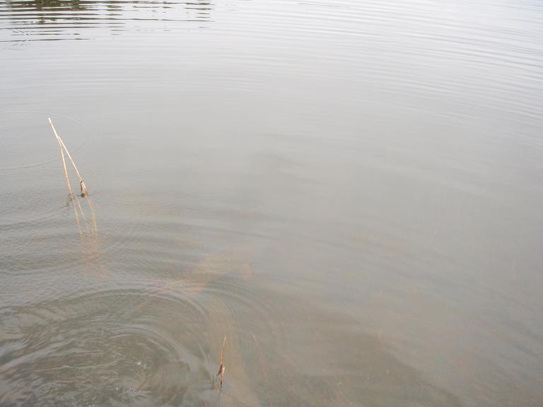 takas kasvamaan 8,3kg.jpg