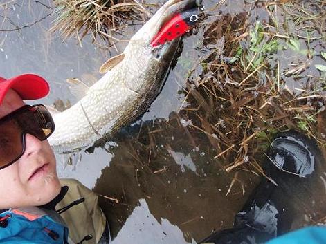 8,3kg leppiksellä!.jpg