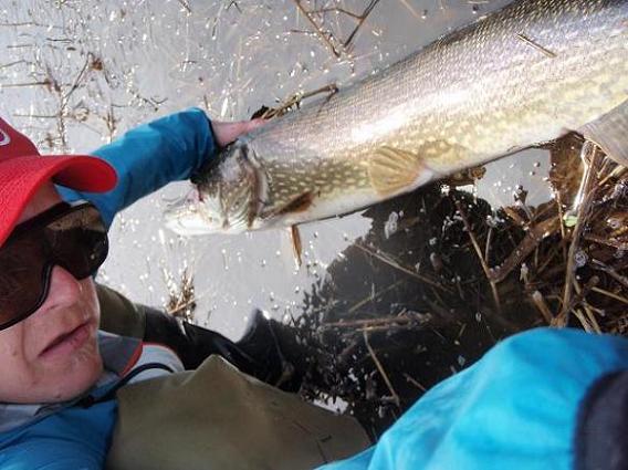 kevät kalat 2009 022.jpg