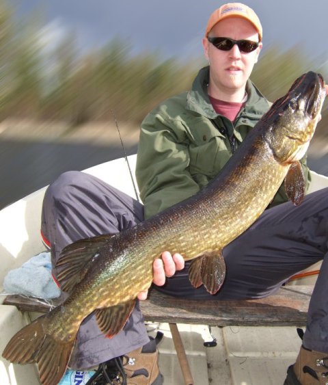 Tempun ysi pilkku neljä.