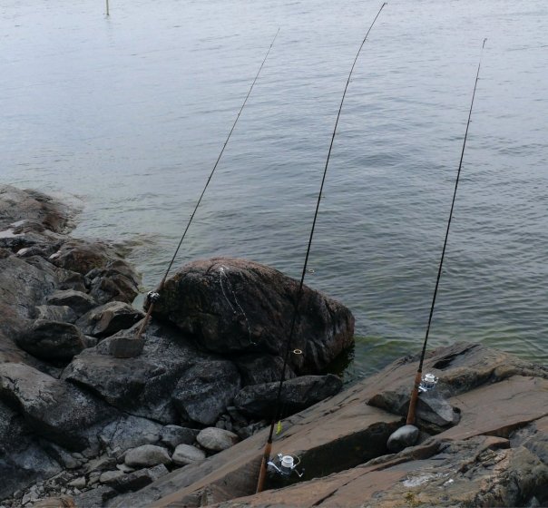 Siikaa sitä suloista..