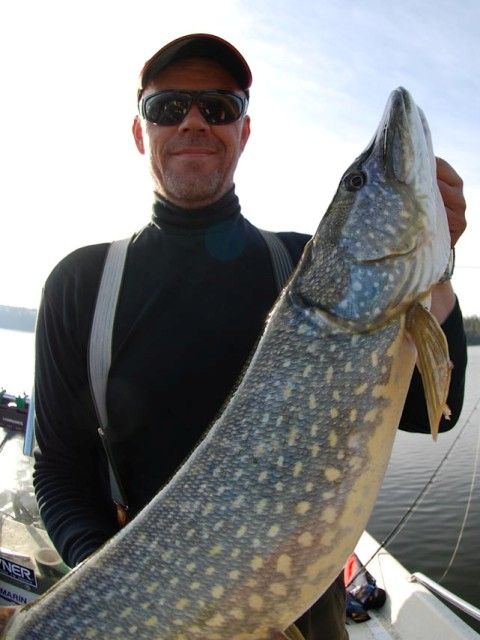 koiran tuomaa 22-5-09.jpg