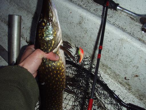 Haage ja ottikone.JPG