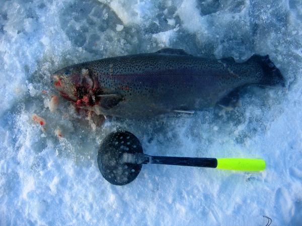 2340g retulammelta ootto-onkeen