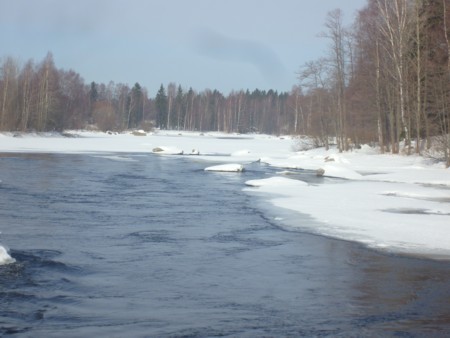 siikakosken niskakivi.jpg