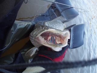 Kewään toiset metrit....