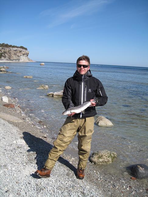 Perjantai aamun kala..JPG