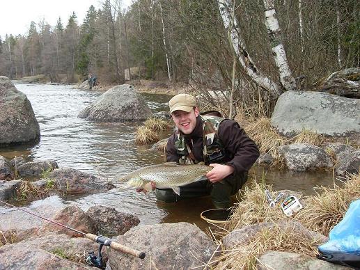 Talvikkoinen taimen.