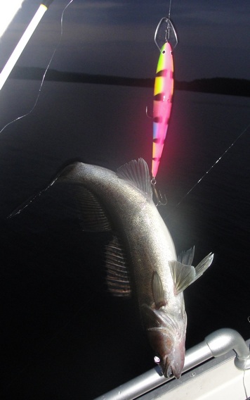 persedellä puuhun.jpg