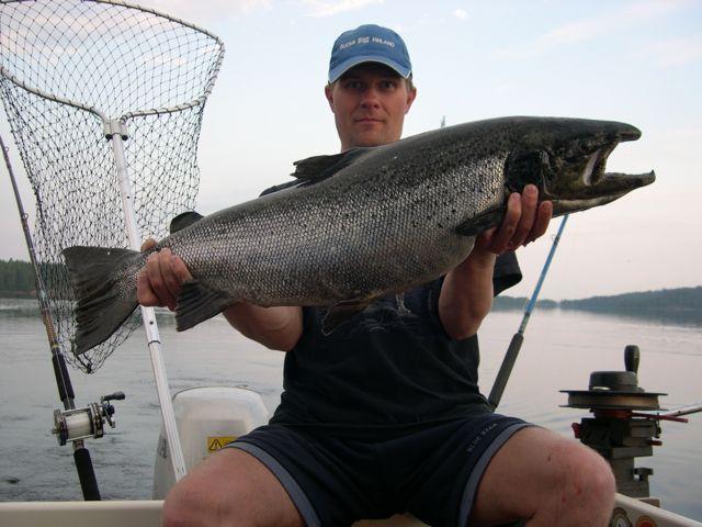 jlärvilohi 8700g.jpg