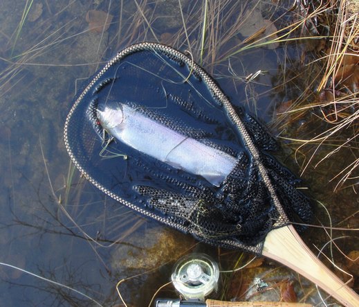 Näyttää kyllä kuvassa paljon isommalta mitä oli. Painoa varmasti alle 800g.