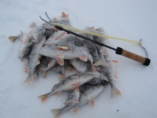 Siinä yhden reiän saalis ja ottikone