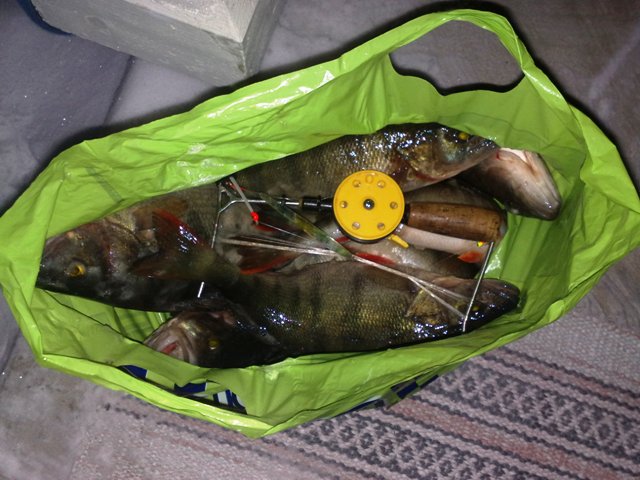 kympin kärki 6060g.jpg