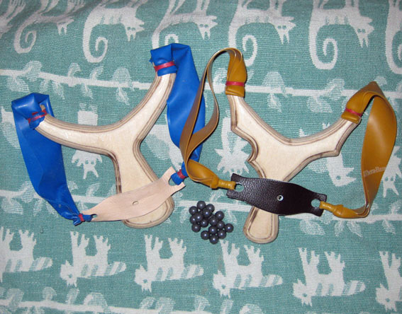 Moose ja Bull Skull.