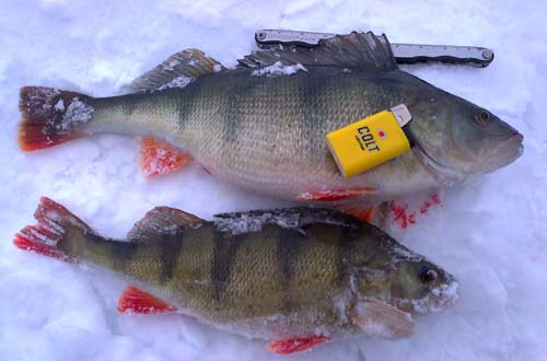 kuvissa 1120 ja vaan 620