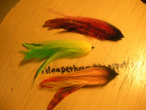 kakosen haukipörhöt.JPG