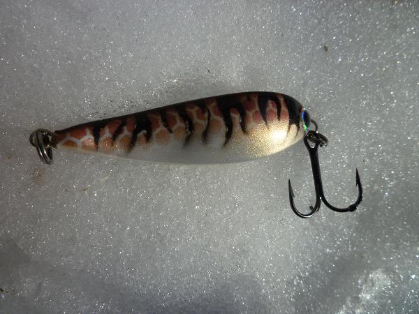 Kameleonttia ja helmiäistä.JPG