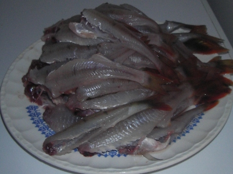 IMGP8956huomenna pannulle.JPG