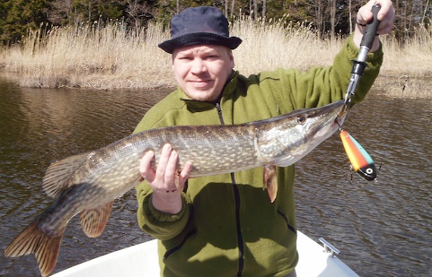 5kg 92cm papukaijalla