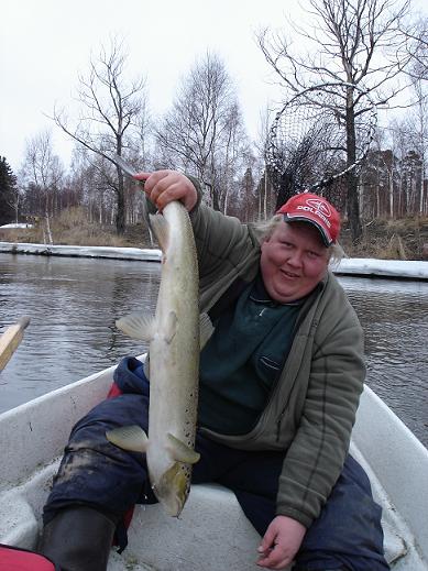 J.Ho ja värivammanen