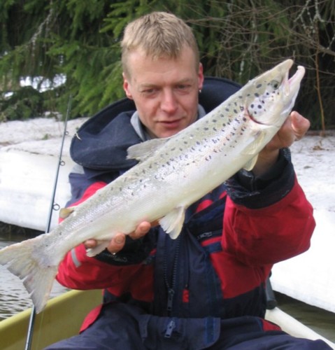 Luihu Lyijymyrkytys ja eka.jpg