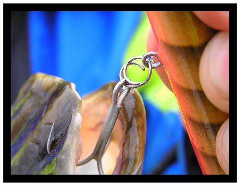 rengas huonossa kunnossa...