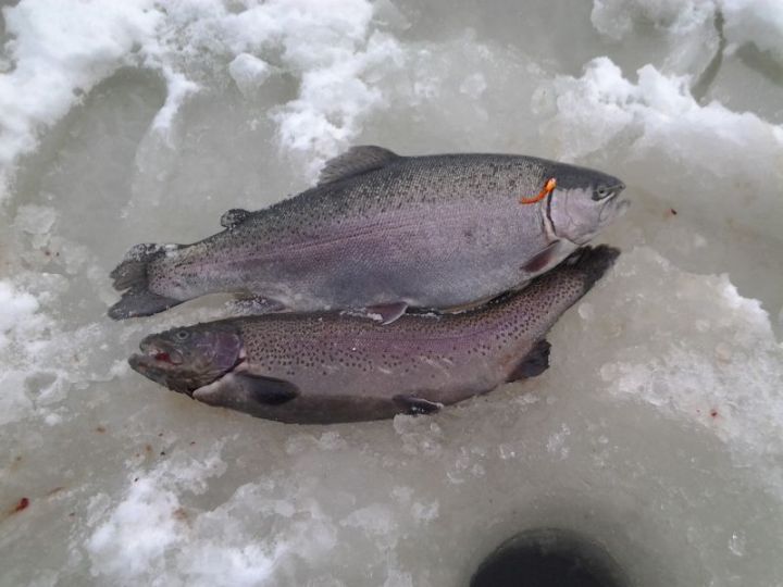 2012-01-08 10.26.51.jpg