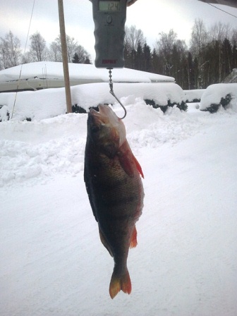 2012-02-24 15.23.57.jpg