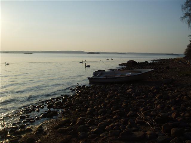 Ongi ny sitte sorsaparvessa