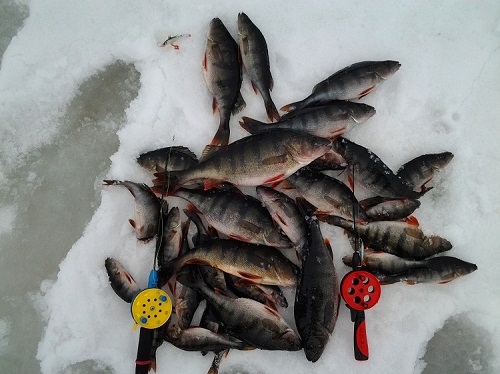 2012-04-14 15.27.33 – Kopio.jpg