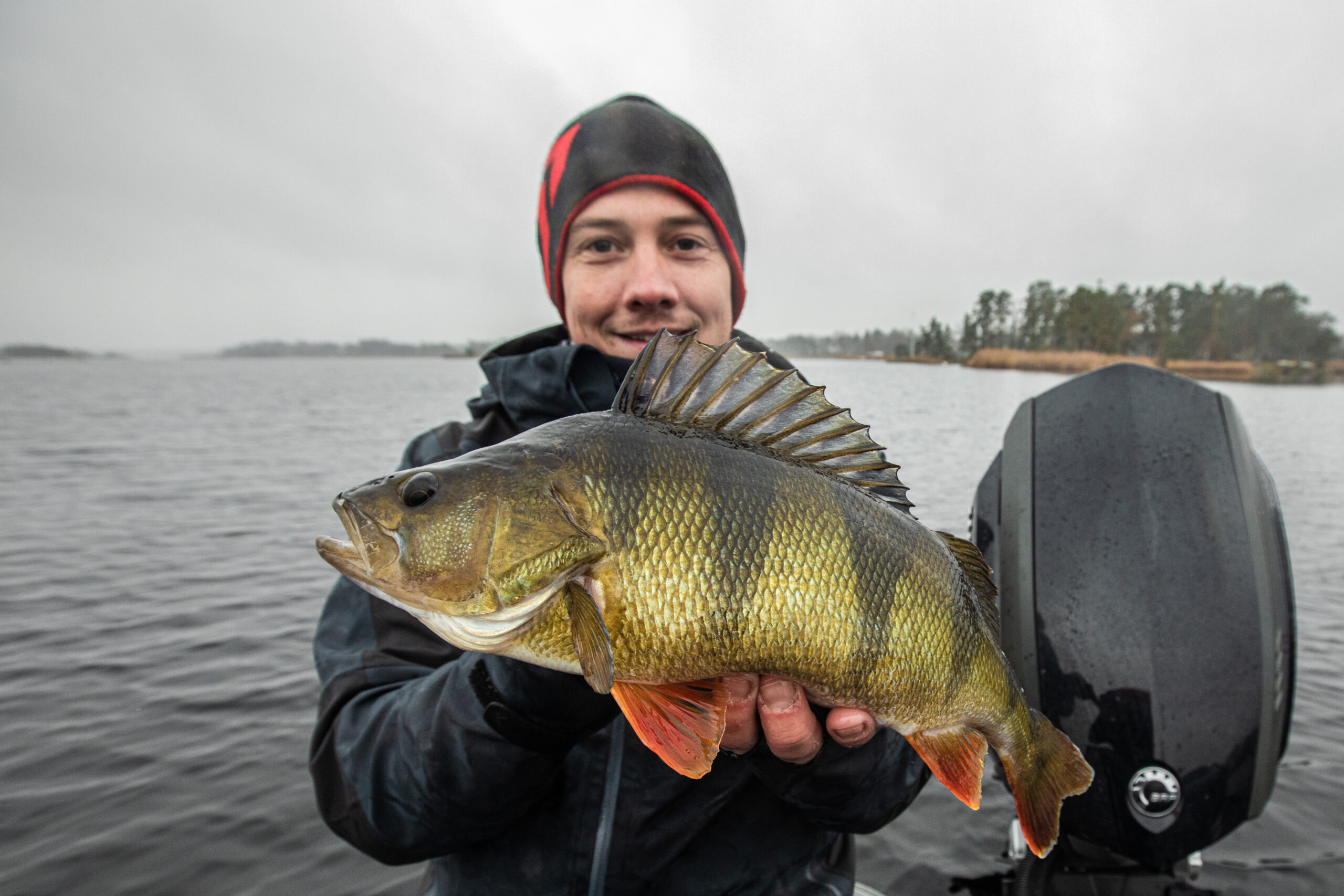 Daiwa Tournament Minnow -vaaput ovat jokasään ottikoneita Daiwa_tournament_minnow9